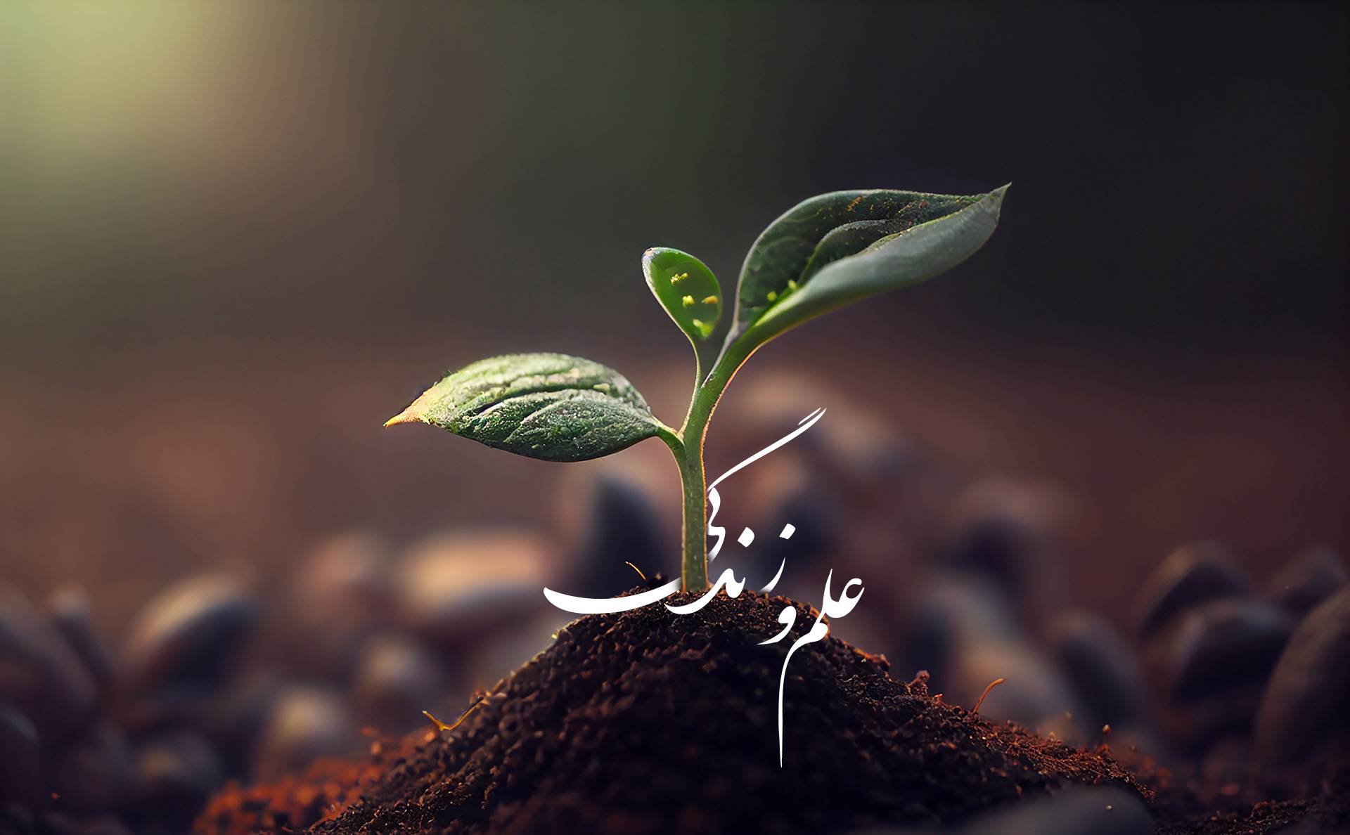 صفحه اصلی 1 01 slide